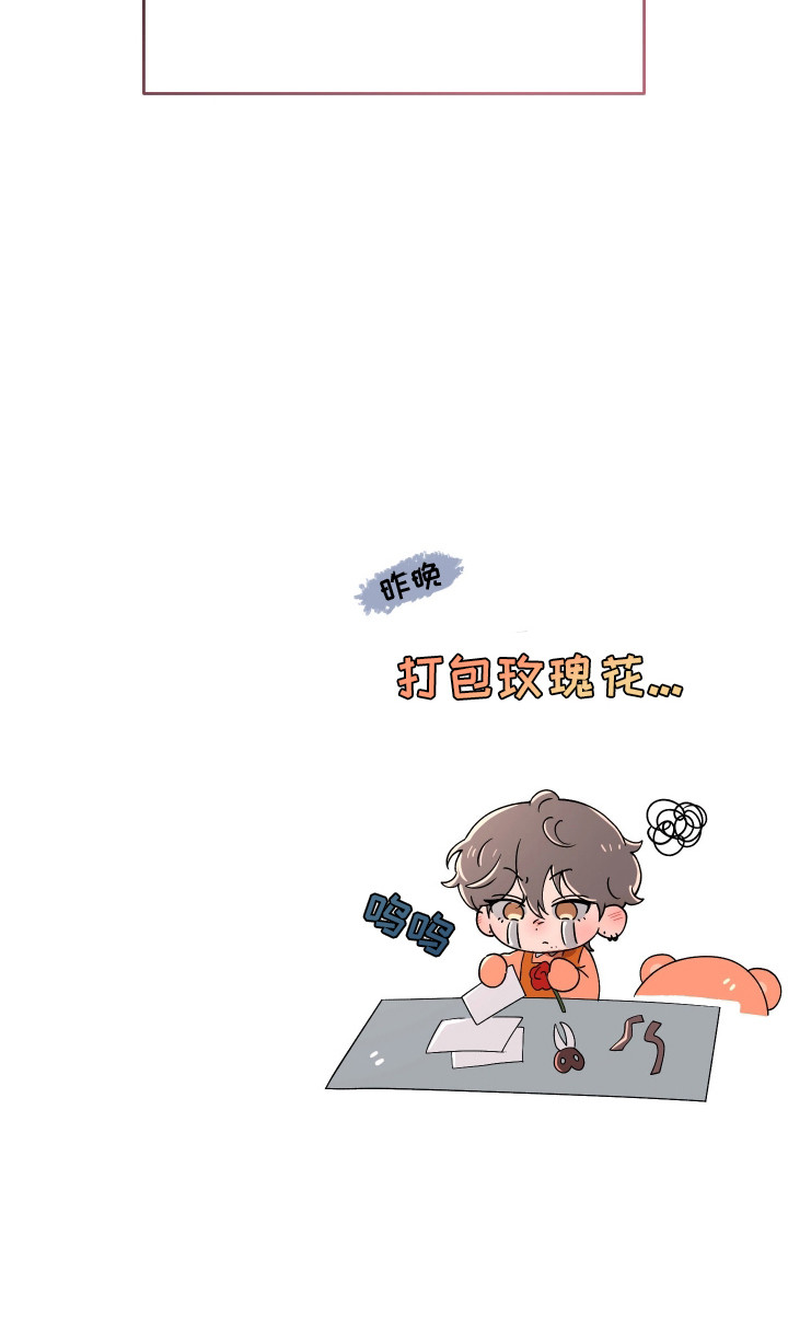 幸运熊先生漫画,第17章：玫瑰花5图
