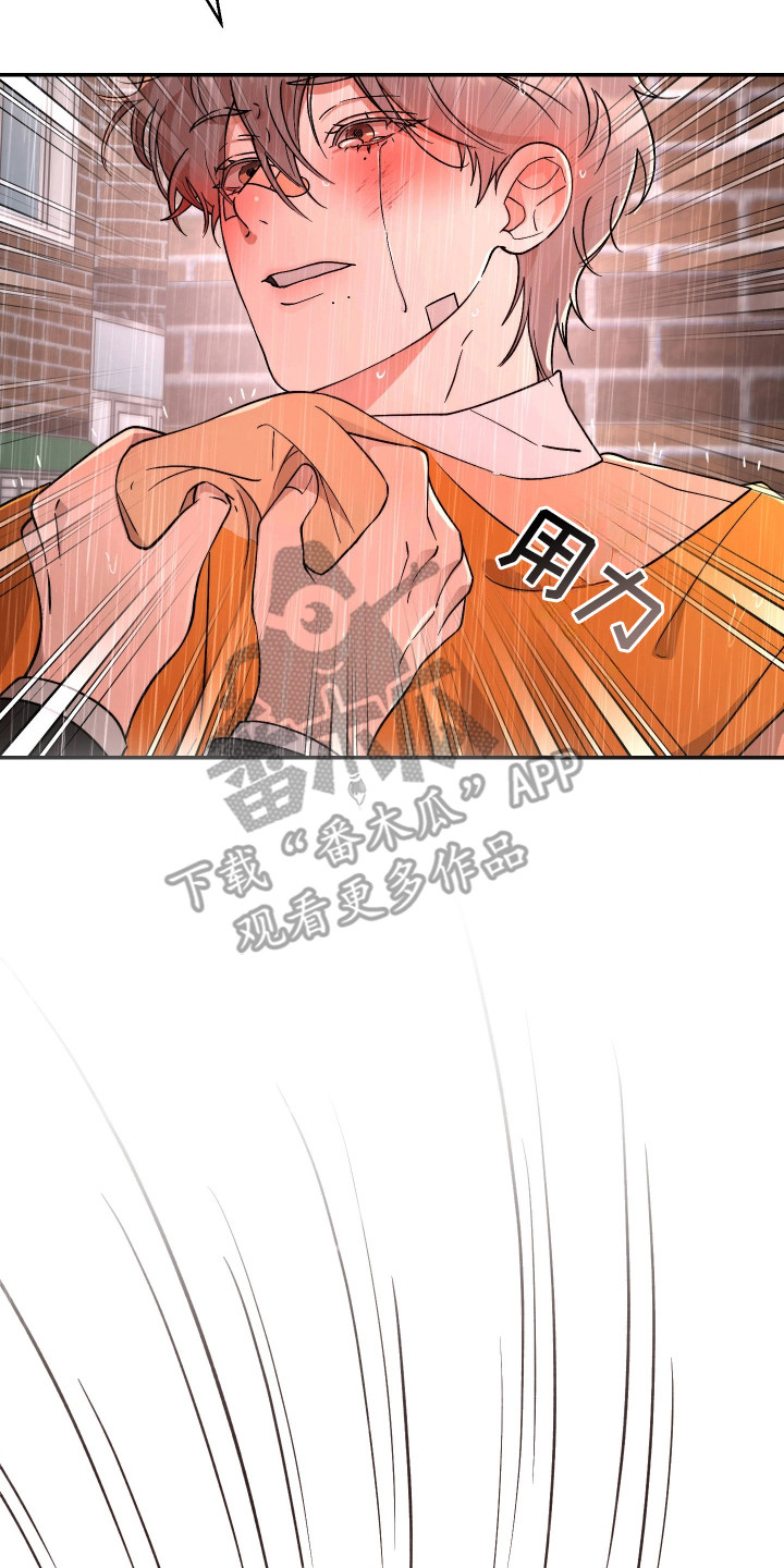 幸运熊先生漫画,第19章：回答3图