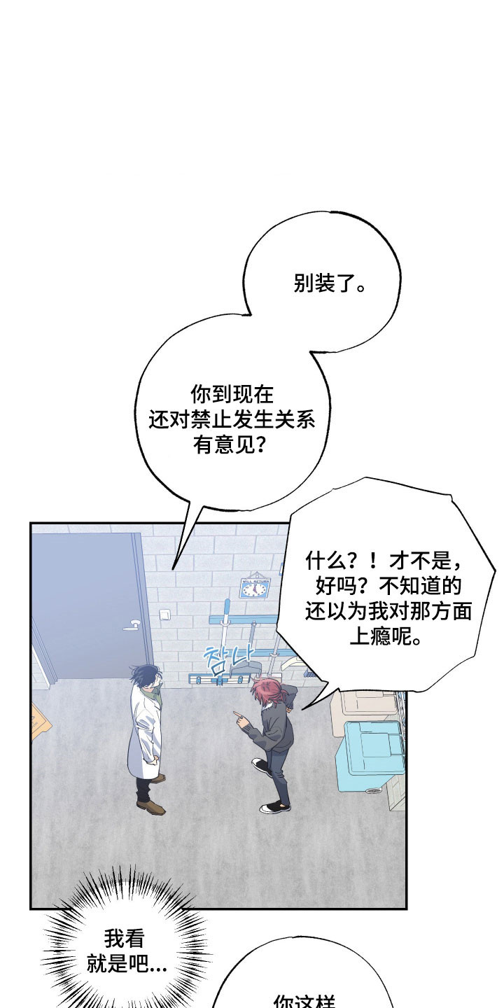 欧米伽骗局漫画,第19章：不了解1图