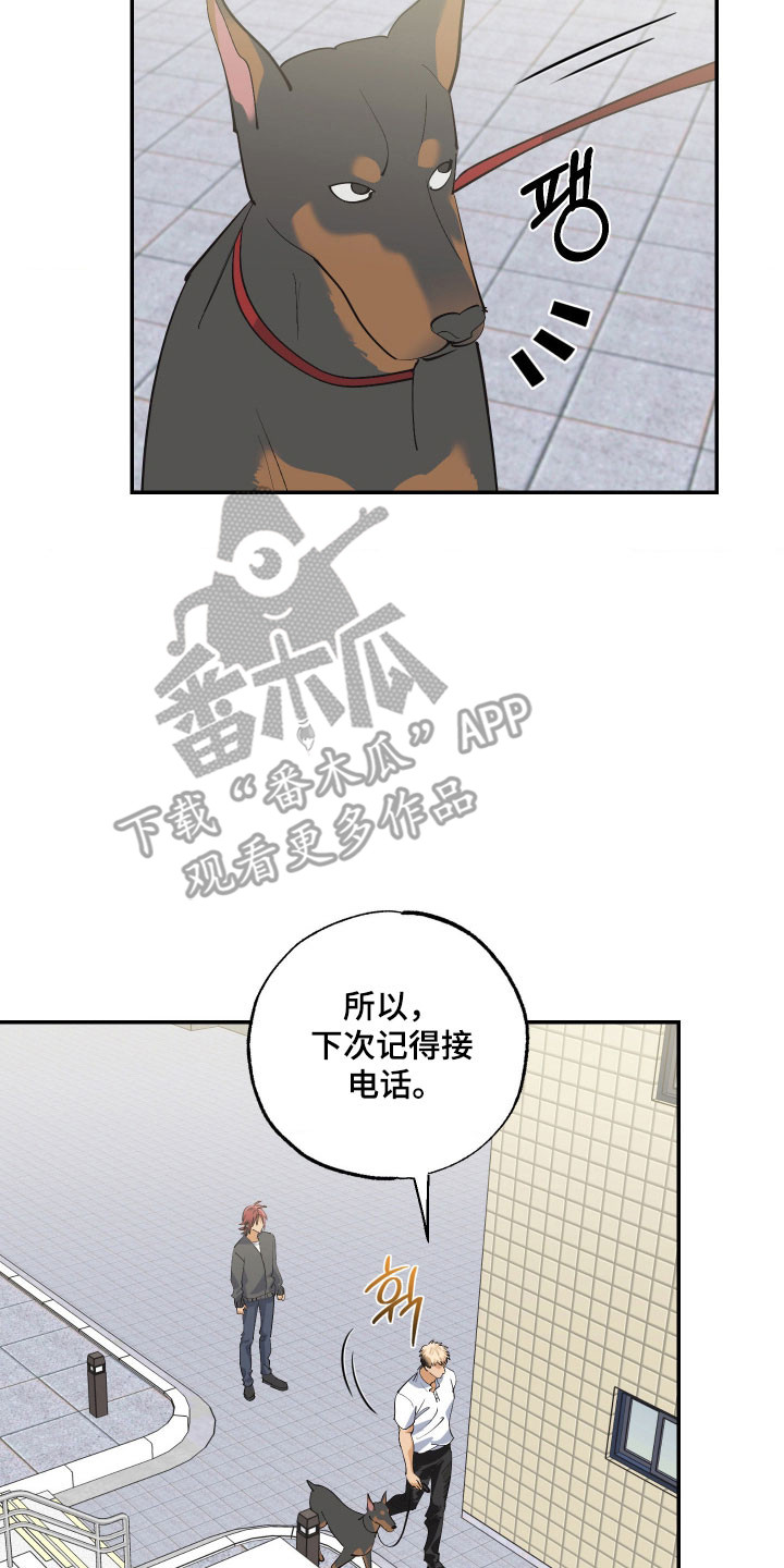 欧米伽骗局漫画,第19章：不了解5图