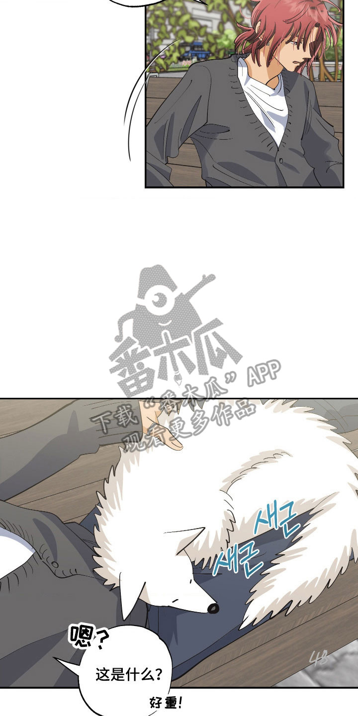 欧米伽骗局漫画,第18章：刻意接近5图