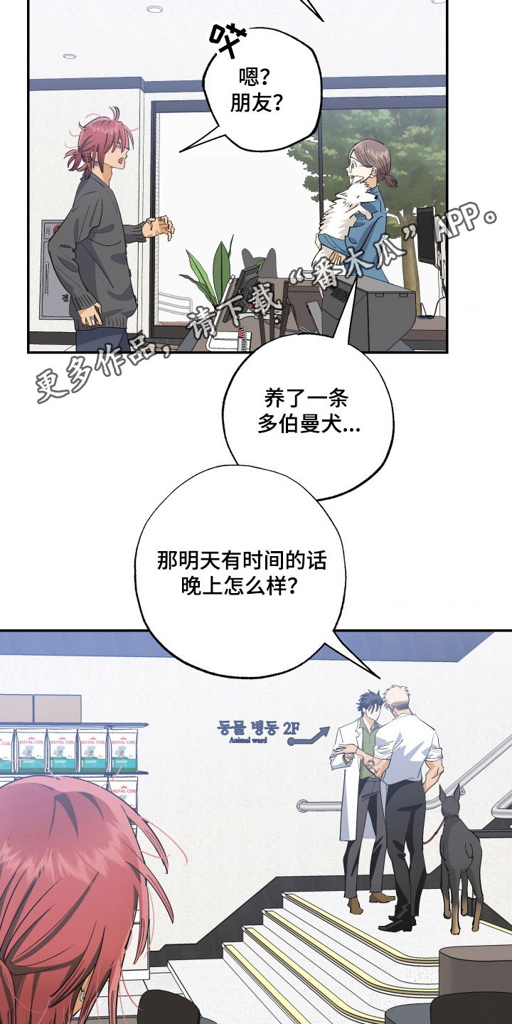 欧米伽骗局漫画,第18章：刻意接近3图