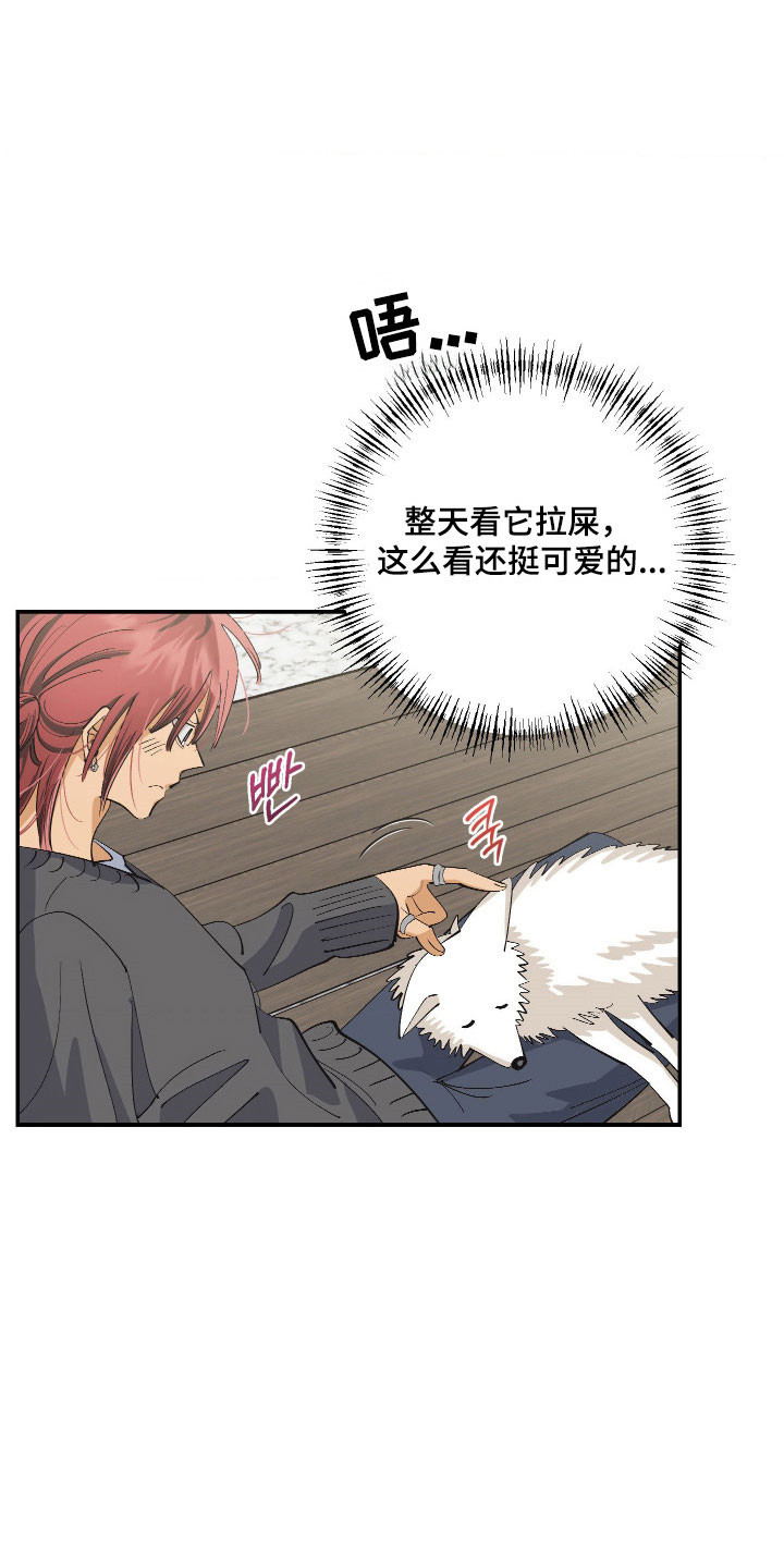 欧米伽骗局漫画,第18章：刻意接近4图