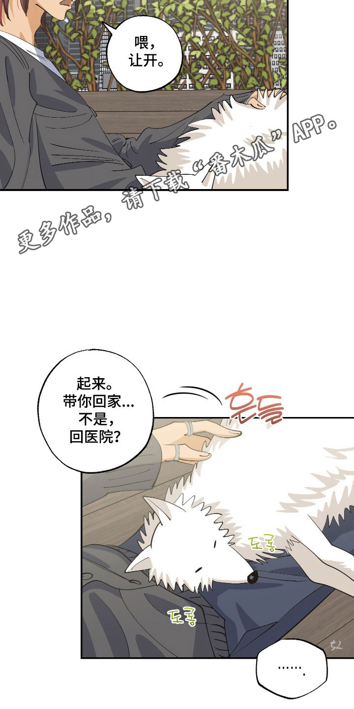 欧米伽骗局漫画,第18章：刻意接近3图
