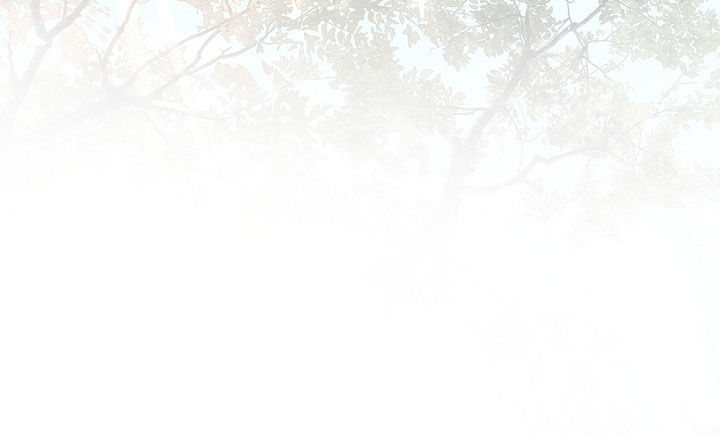 臣服于你小说漫画,第15章：晕过去3图