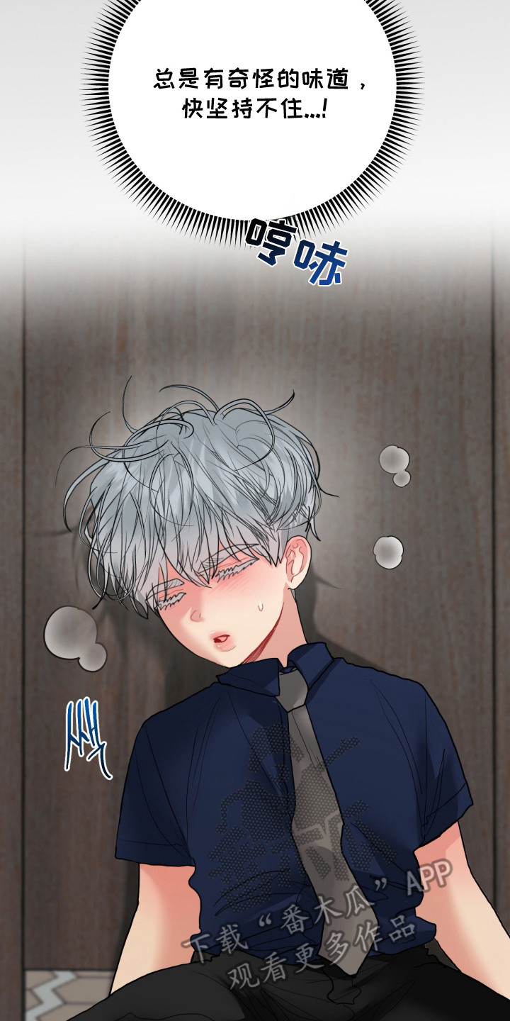 陌生挚爱漫画,第10章：原点5图