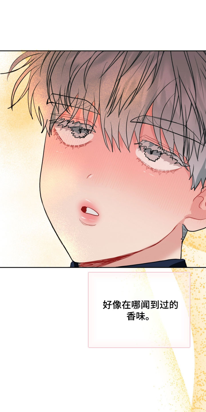 陌生挚爱漫画,第18章：我的欧米伽1图