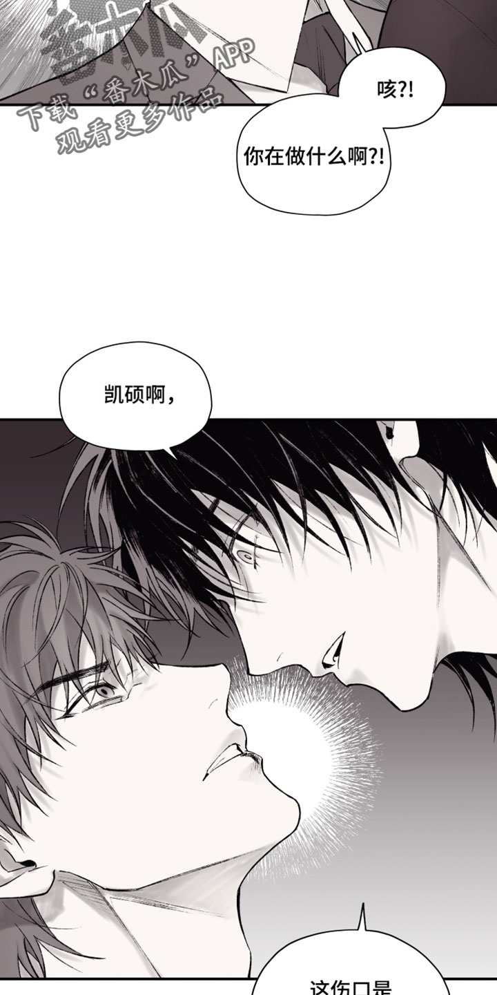 第21章：痛苦的一切原因1