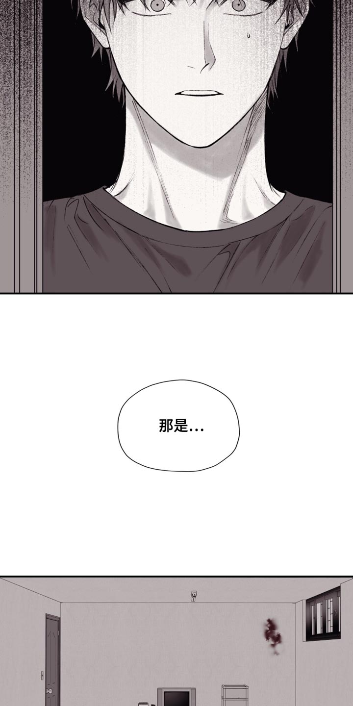 完美面具下的伪装漫画,第16章：血2图