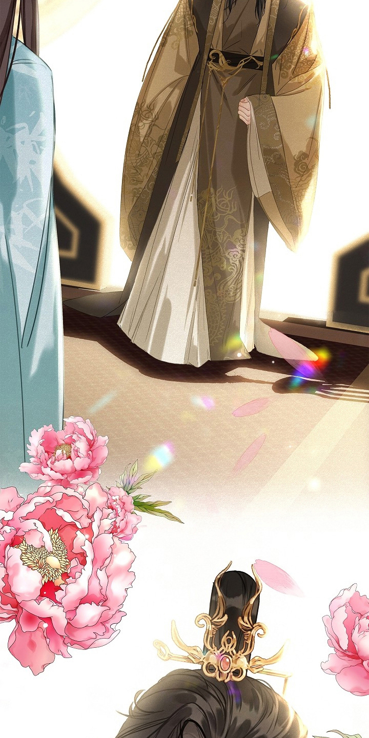 君心为我倾剧情解析漫画,第3章：皇帝5图