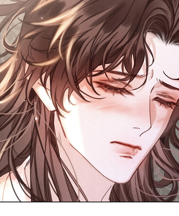 君心为我倾剧情解析漫画,第2章：不同的身份2图