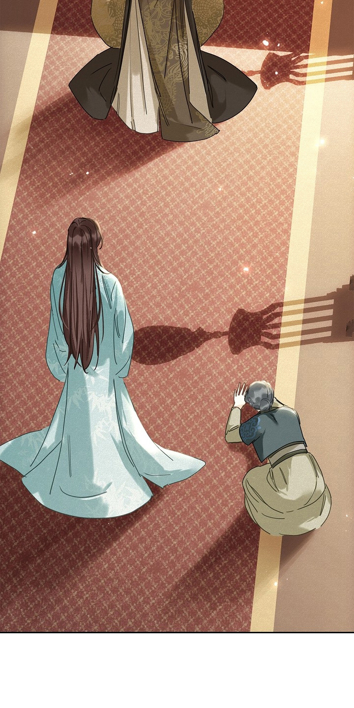 君心为我倾剧情解析漫画,第3章：皇帝4图