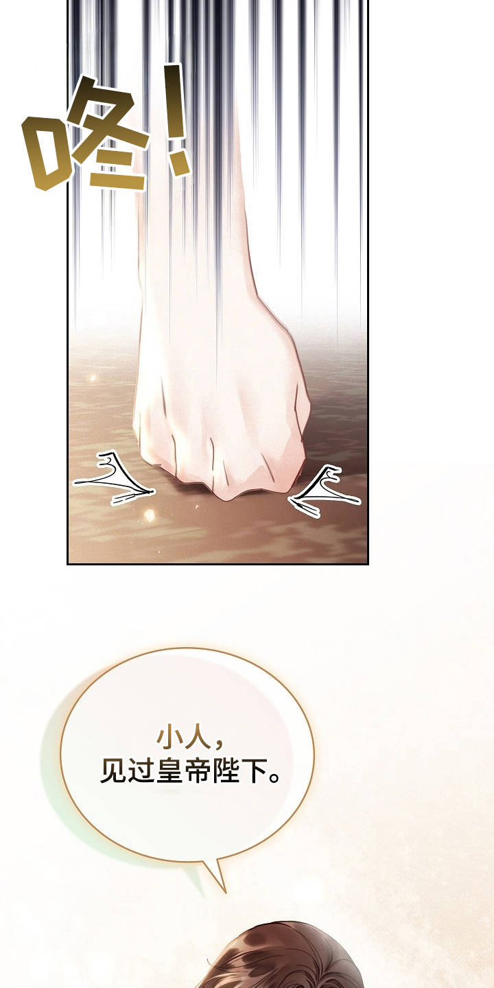 君心为我倾剧情解析漫画,第3章：皇帝1图