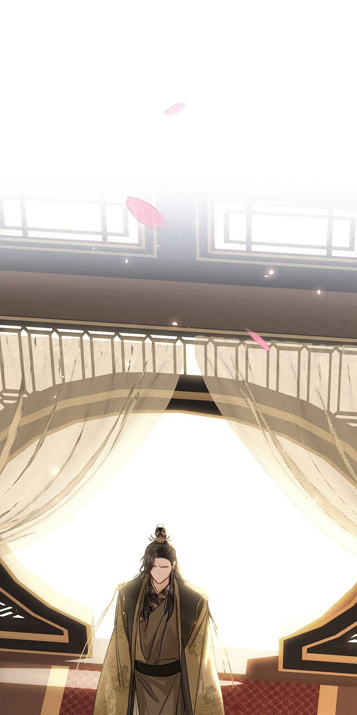 君心为我倾剧情解析漫画,第3章：皇帝3图