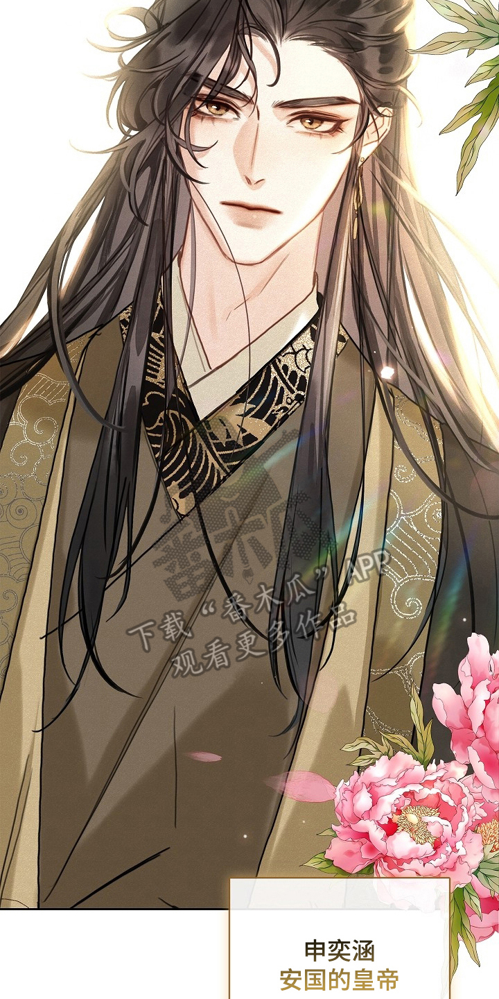 君心为我倾剧情解析漫画,第3章：皇帝1图