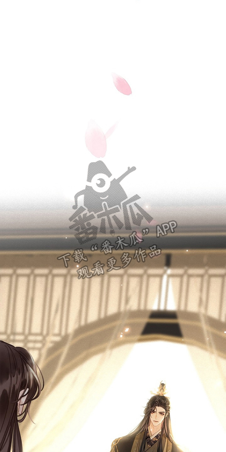 君心为我倾剧情解析漫画,第3章：皇帝4图