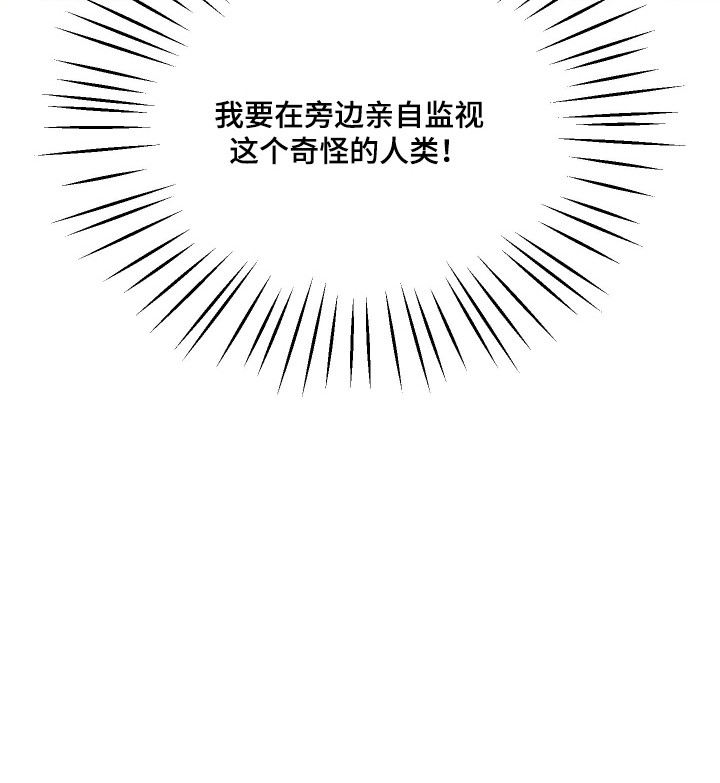 我的狐妖女帝免费阅读漫画漫画,第13章：亲自监视5图