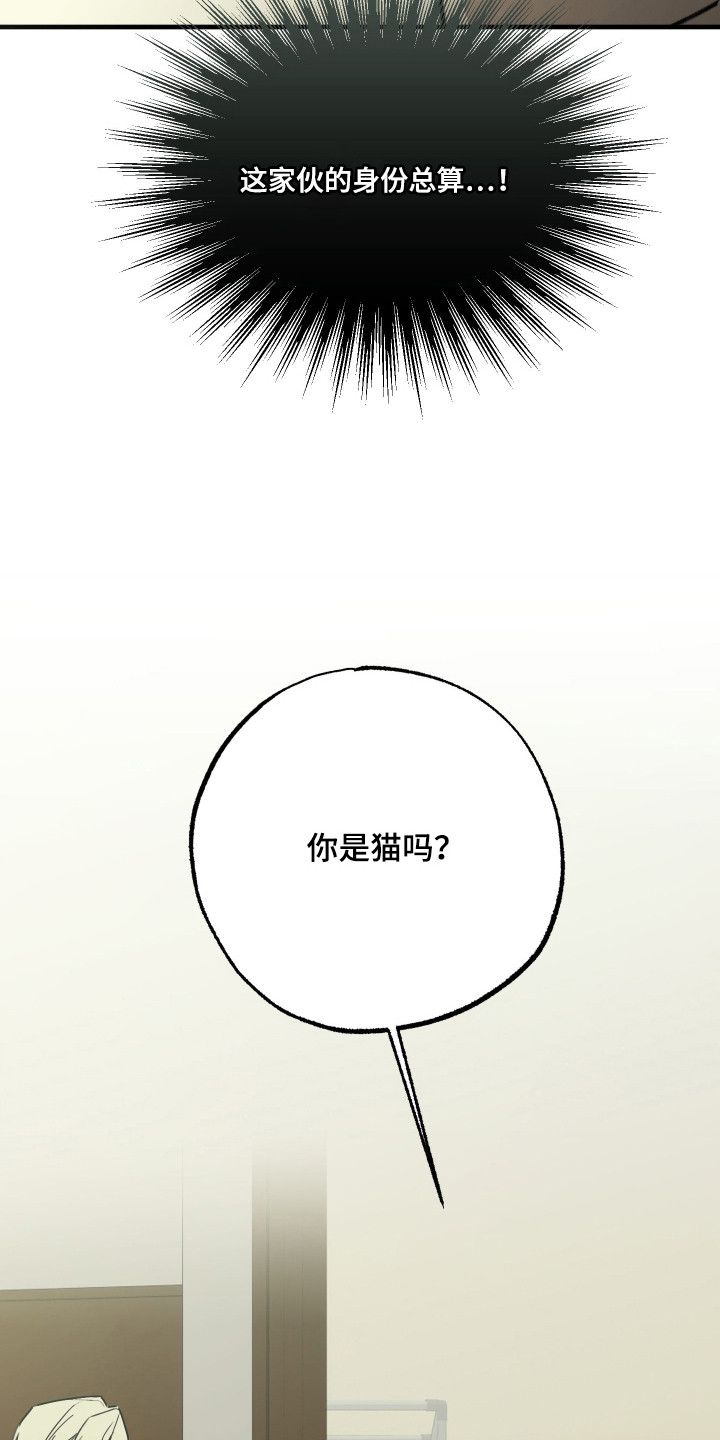 我的狐妖女帝免费阅读漫画漫画,第10章：你是猫吗4图