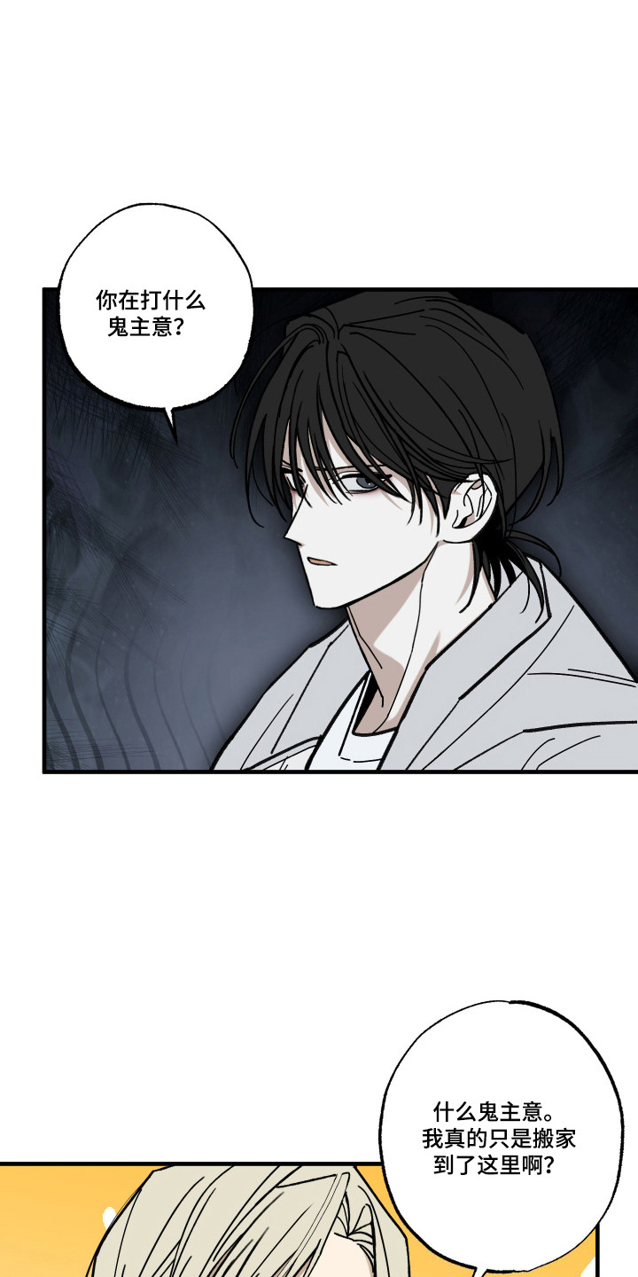 我的狐妖女帝免费阅读漫画漫画,第14章：搬家礼物3图