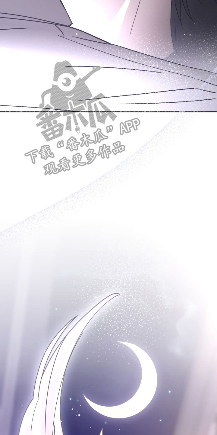 我的狐妖女帝免费阅读漫画漫画,第7章：最后的办法5图