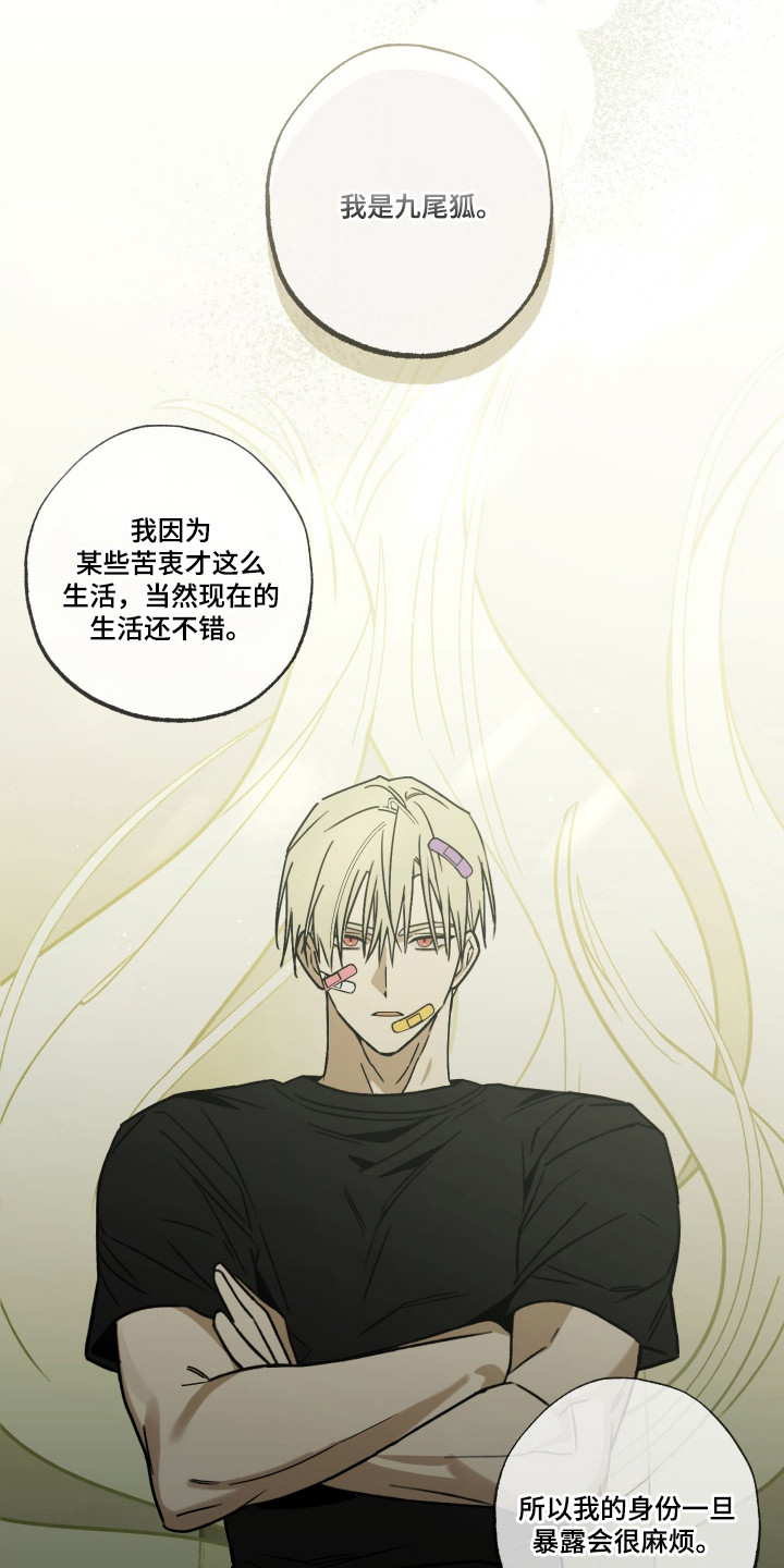 我的狐妖同事第五话漫画,第11章：重新介绍4图