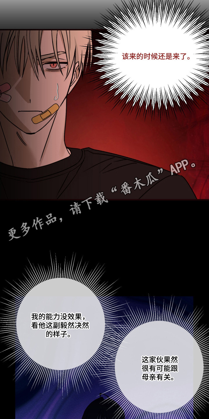 我的狐妖女帝免费阅读漫画漫画,第10章：你是猫吗4图