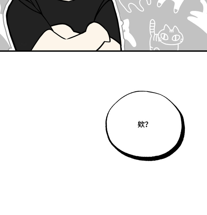 我的狐妖女帝免费阅读漫画漫画,第10章：你是猫吗1图