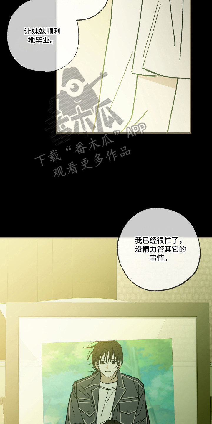 我的狐妖女帝免费阅读漫画漫画,第12章：心愿2图
