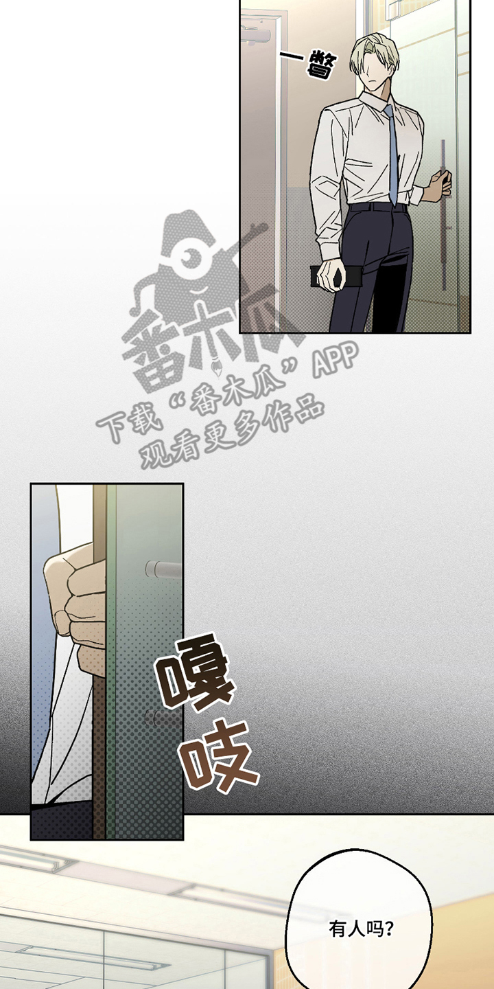 我的狐妖同事人物漫画,第1章：便当4图