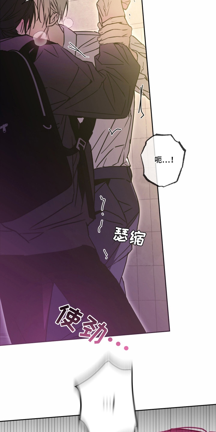 我的狐妖女帝免费阅读漫画漫画,第7章：最后的办法5图