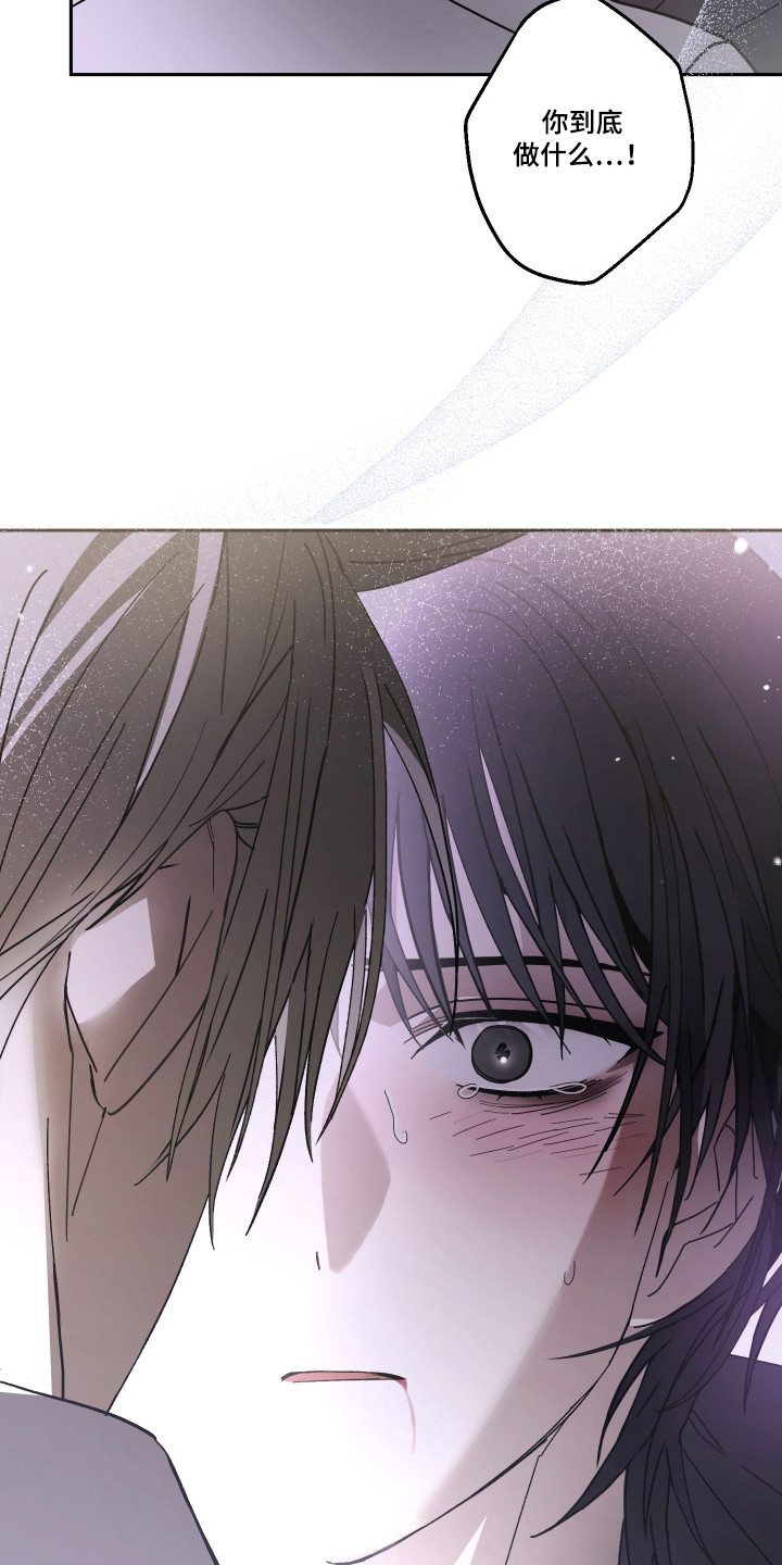 我的狐妖女帝免费阅读漫画漫画,第7章：最后的办法4图