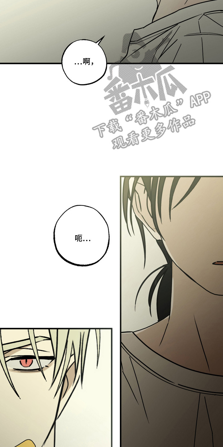 我的狐妖女帝免费阅读漫画漫画,第10章：你是猫吗2图