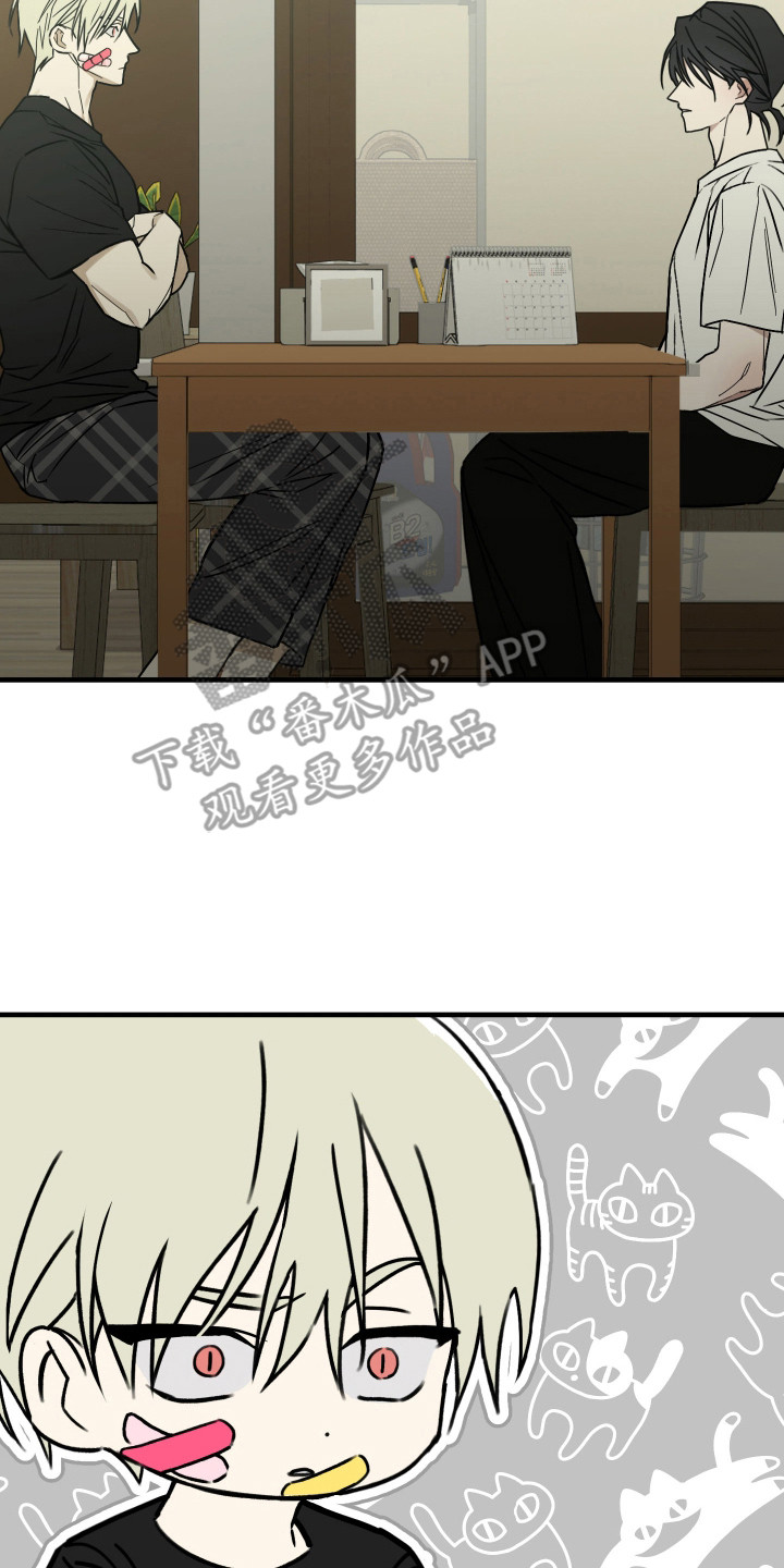 我的狐妖女帝免费阅读漫画漫画,第10章：你是猫吗5图