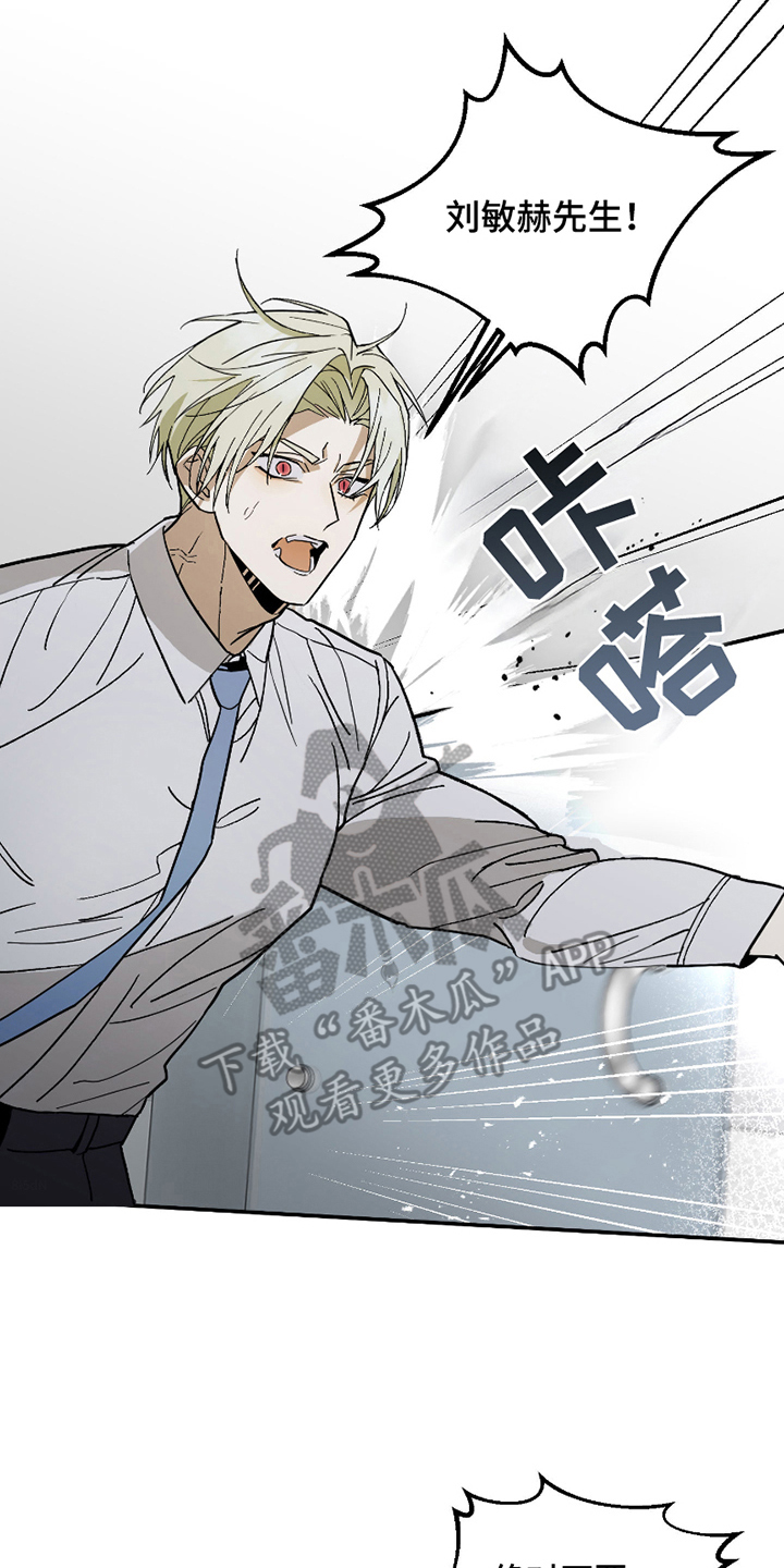 我的狐妖女帝免费阅读漫画漫画,第4章：被发现的秘密1图