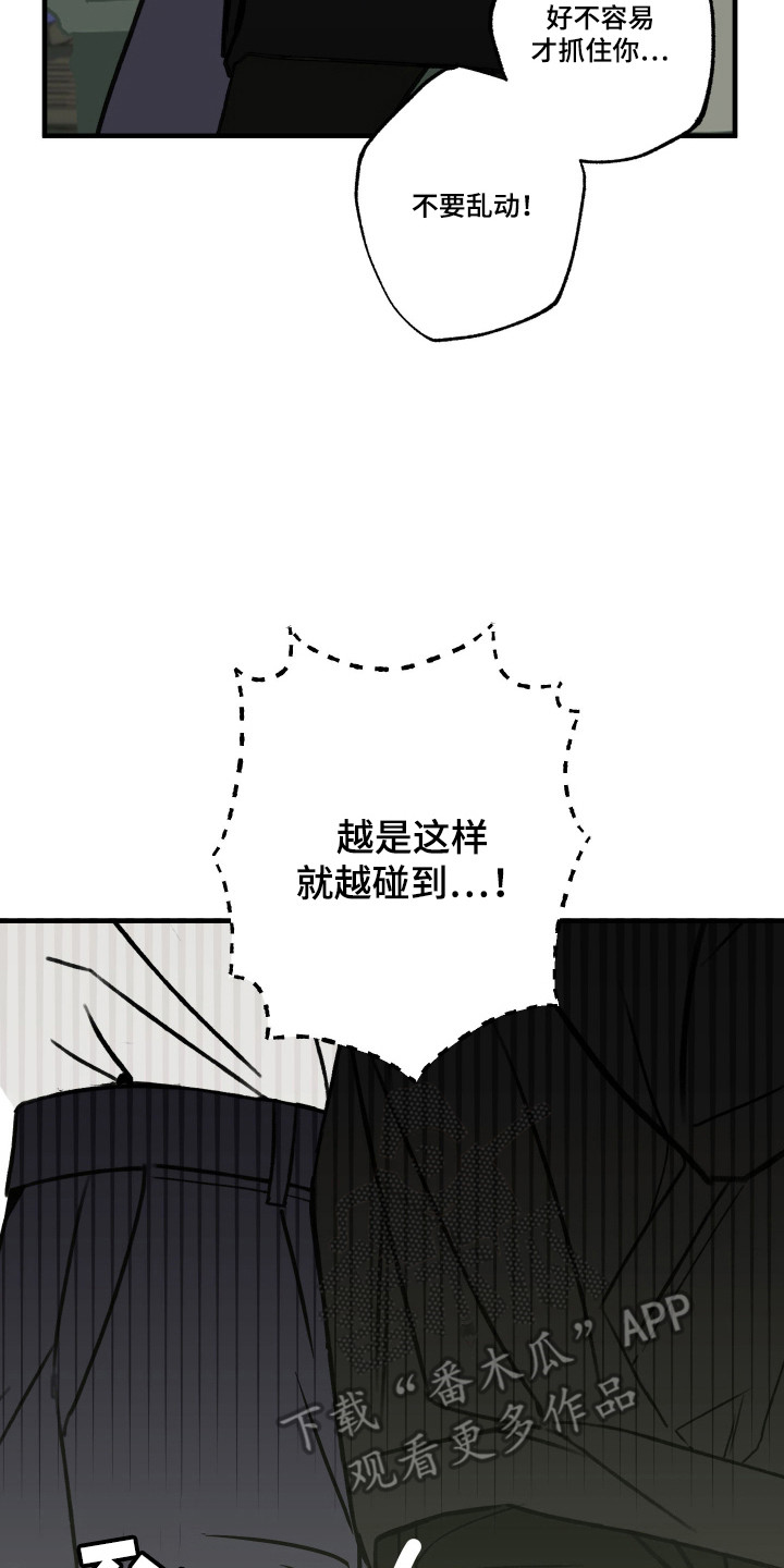 我的狐妖女帝免费阅读漫画漫画,第15章：失误4图