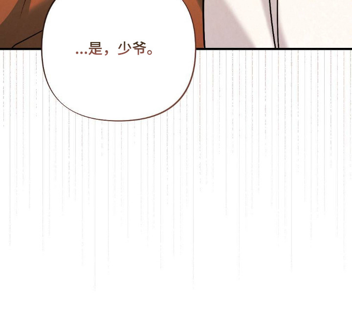 少爷的新娘漫画免费阅读漫画,第18章：市集3图