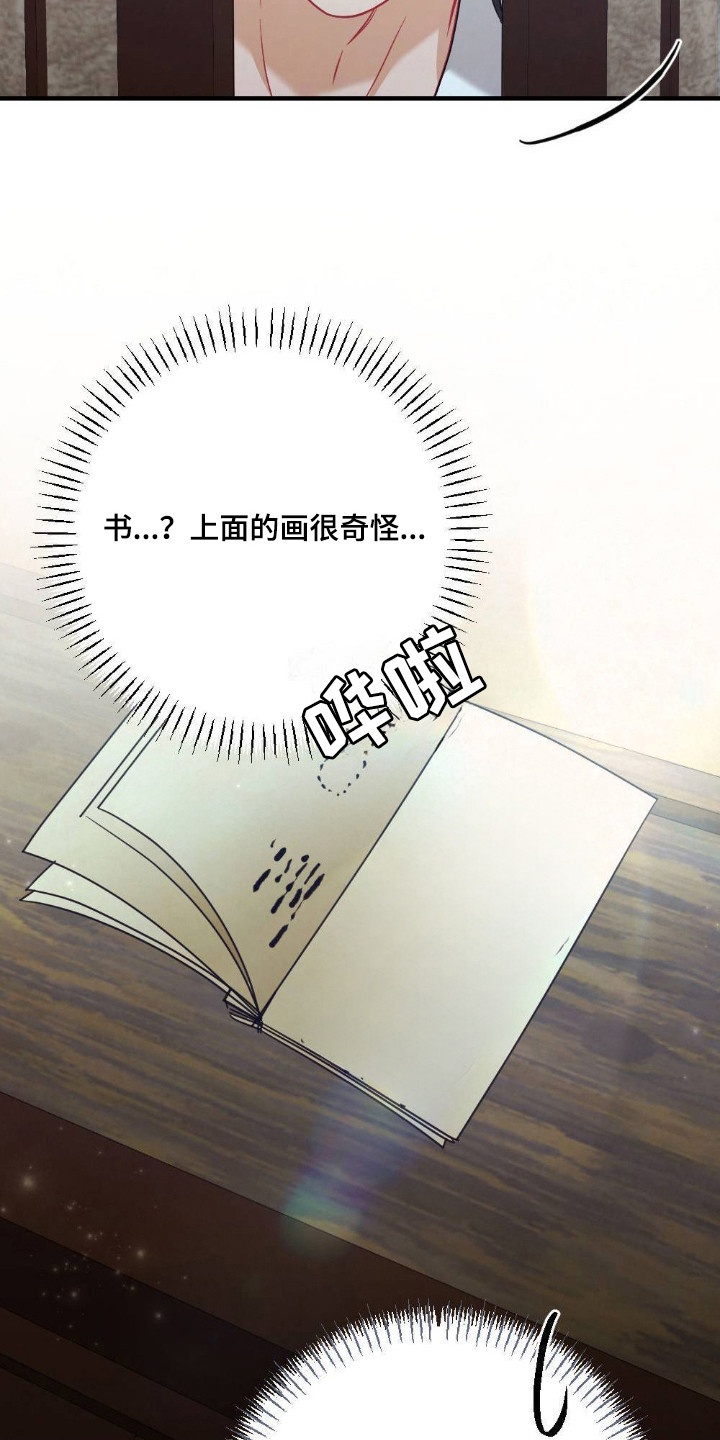 少爷的游戏小说结局漫画,第19章：禁书4图