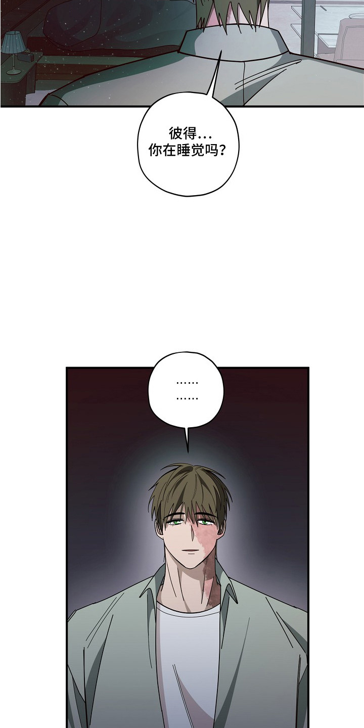 侵蚀罪爱交错梅登身份漫画,第12章： 摄像头5图