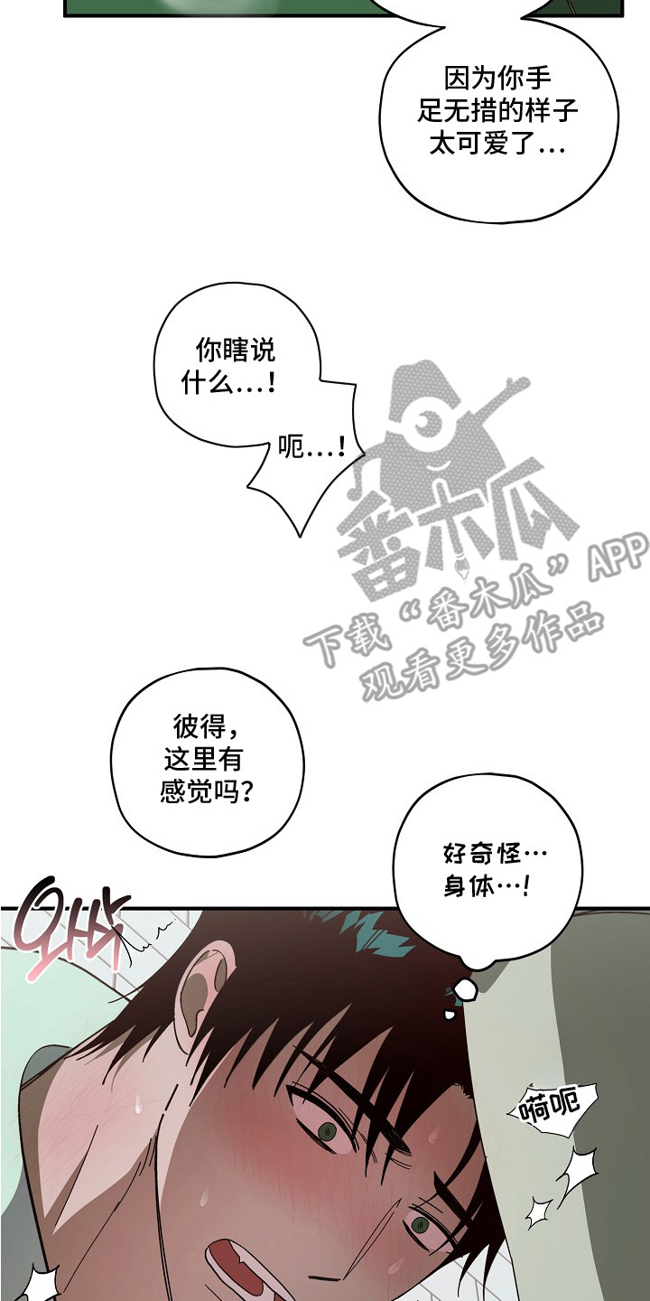 侵蚀罪爱交错漫画,第5章：作证4图
