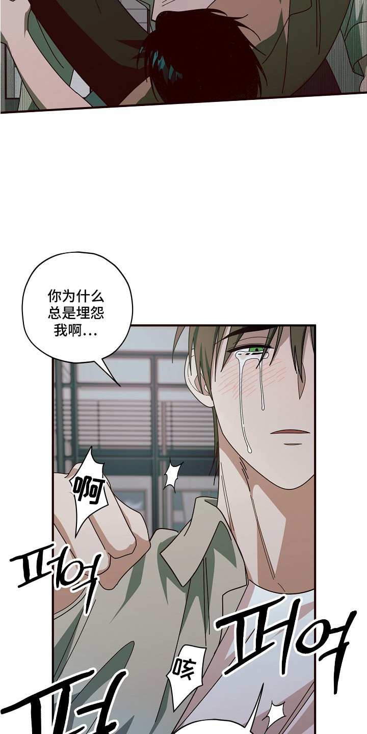 侵蚀罪爱交错漫画,第13章：质问4图