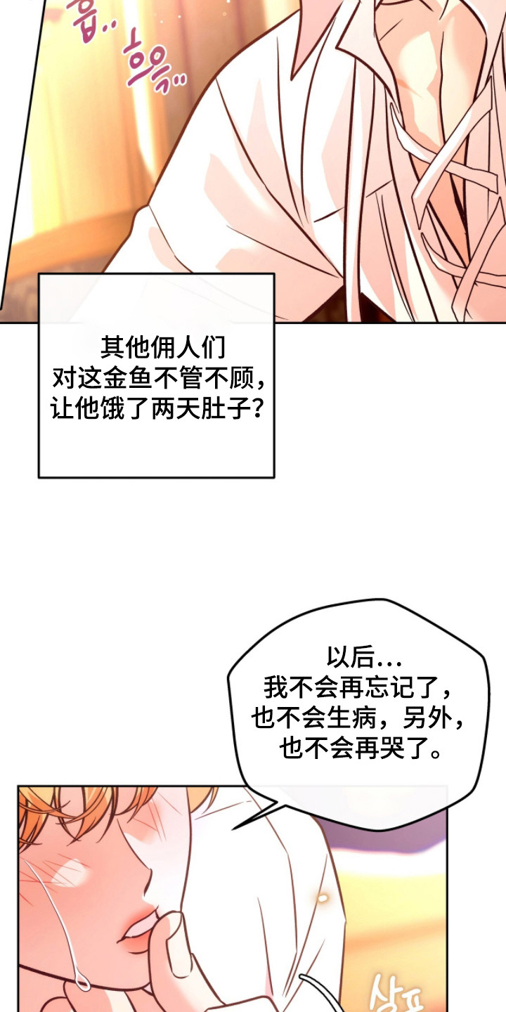 少爷的金鱼仆从漫画,第13章：忐忑不安4图
