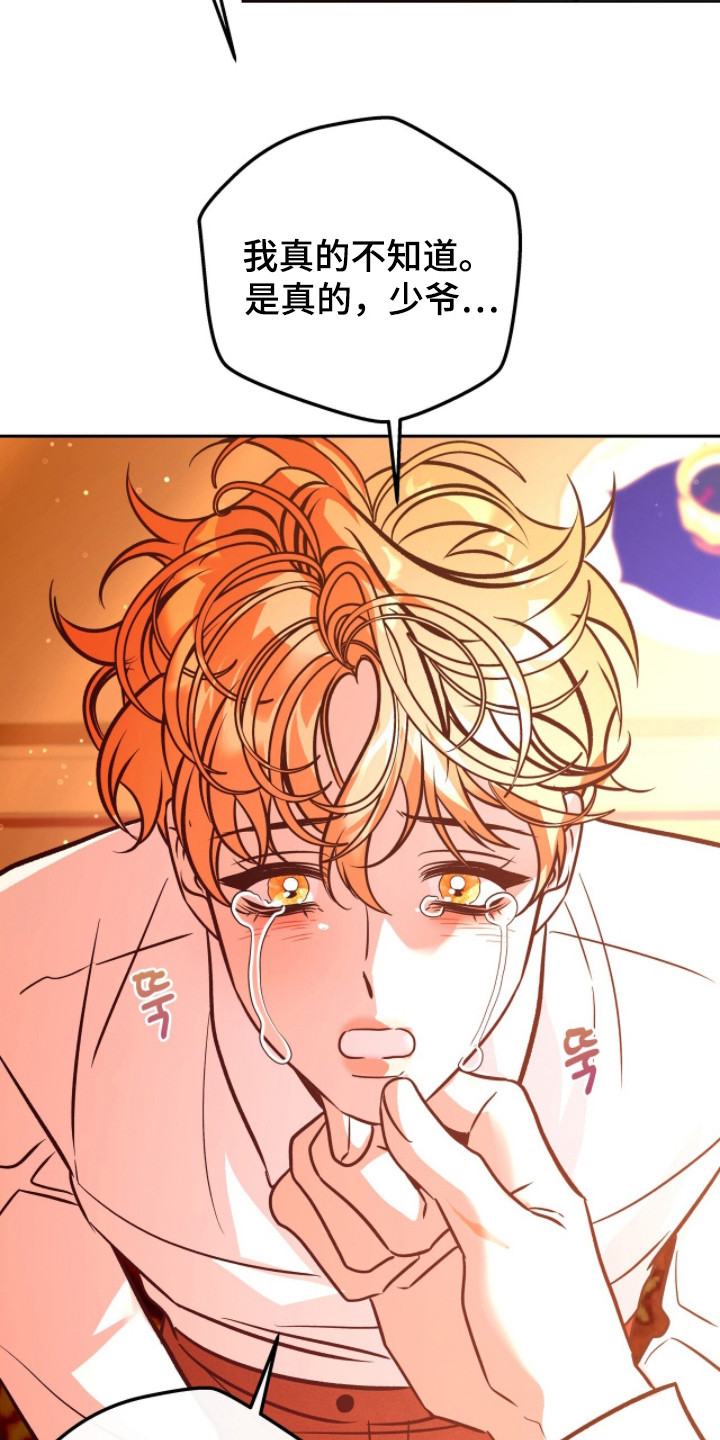 少爷的金鱼仆从漫画,第13章：忐忑不安2图