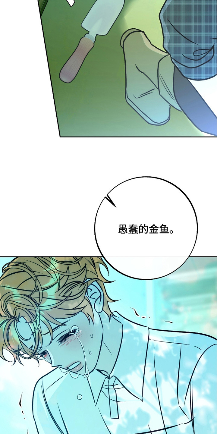 少爷的金鱼仆从漫画,第15章：微笑的样子4图