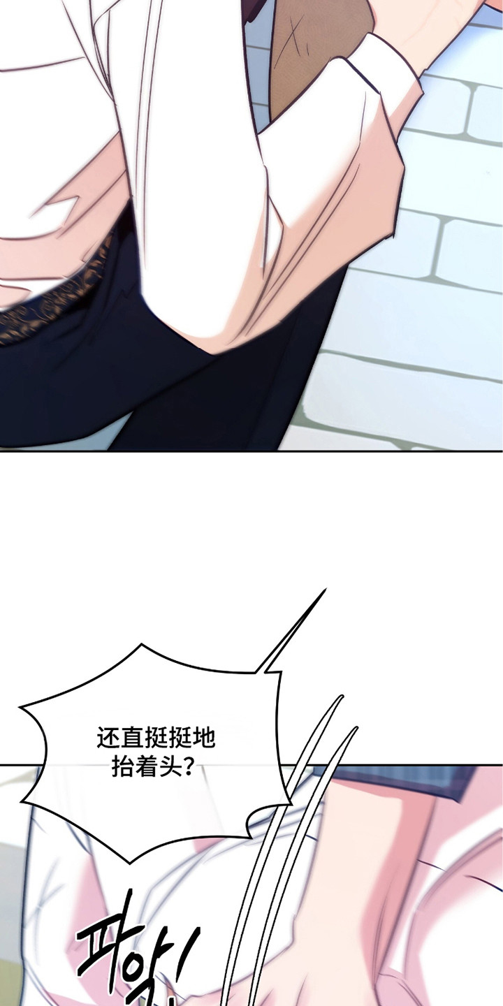 少爷的金鱼仆从漫画,第8章：不明所以3图