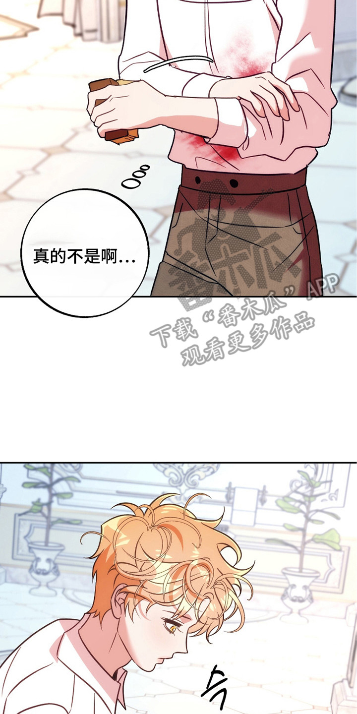 少爷的金鱼仆从漫画,第22章：擦拭5图