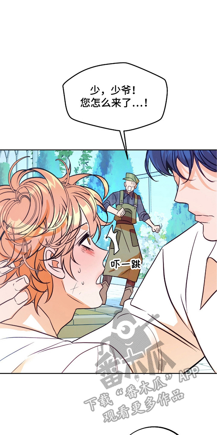 少爷的金鱼仆从漫画,第8章：不明所以4图