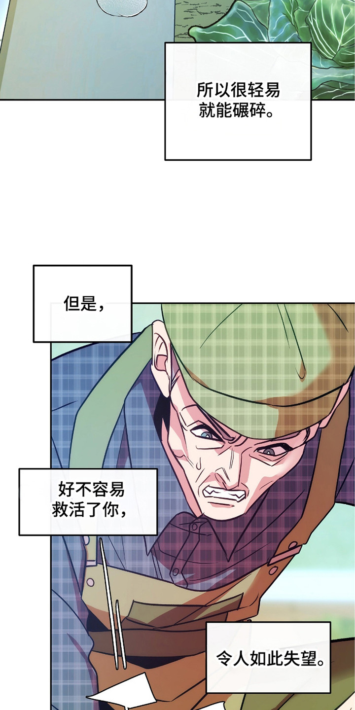 少爷的金鱼仆从漫画,第8章：不明所以4图