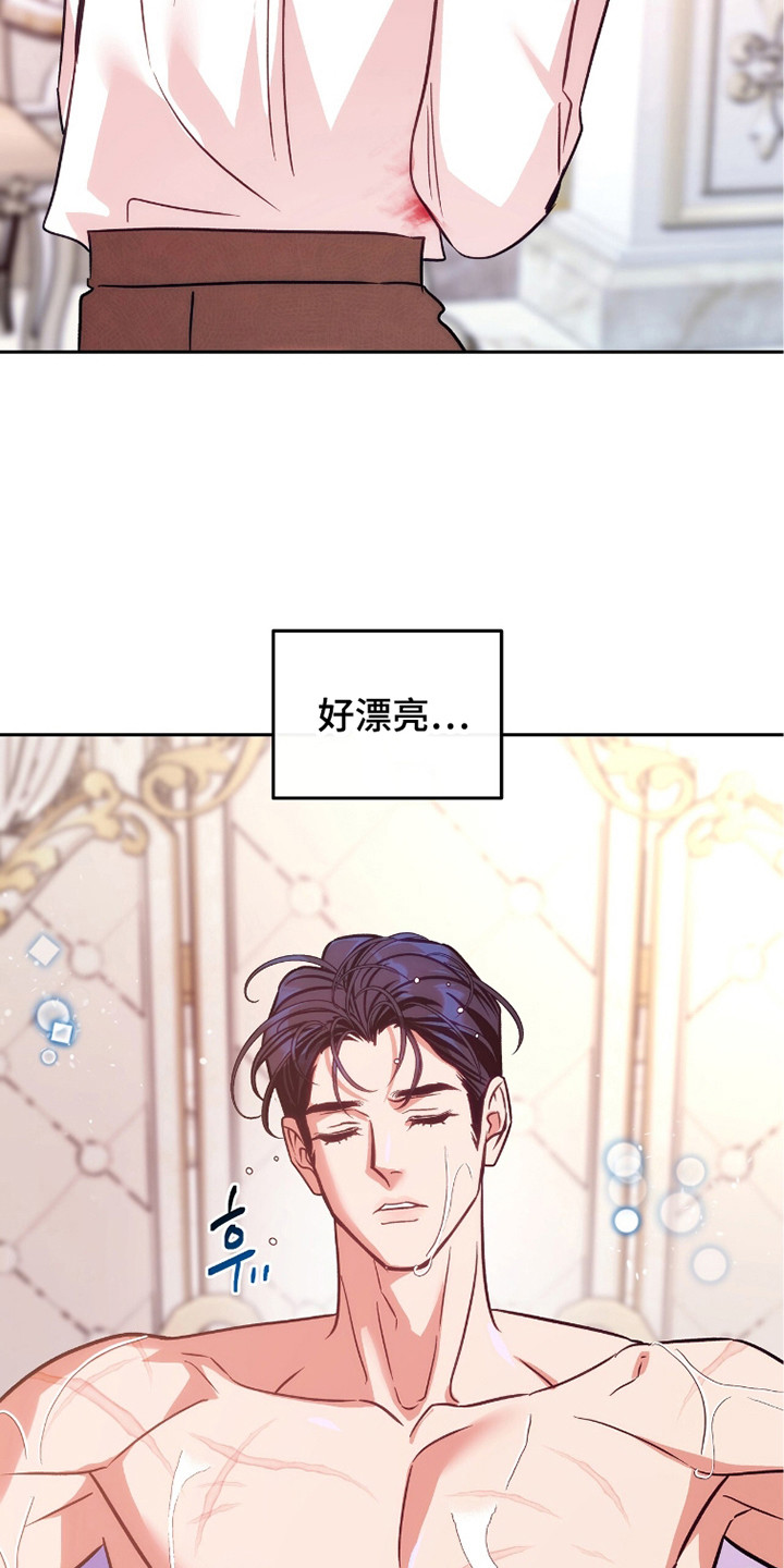 少爷的金鱼仆从漫画,第22章：擦拭1图