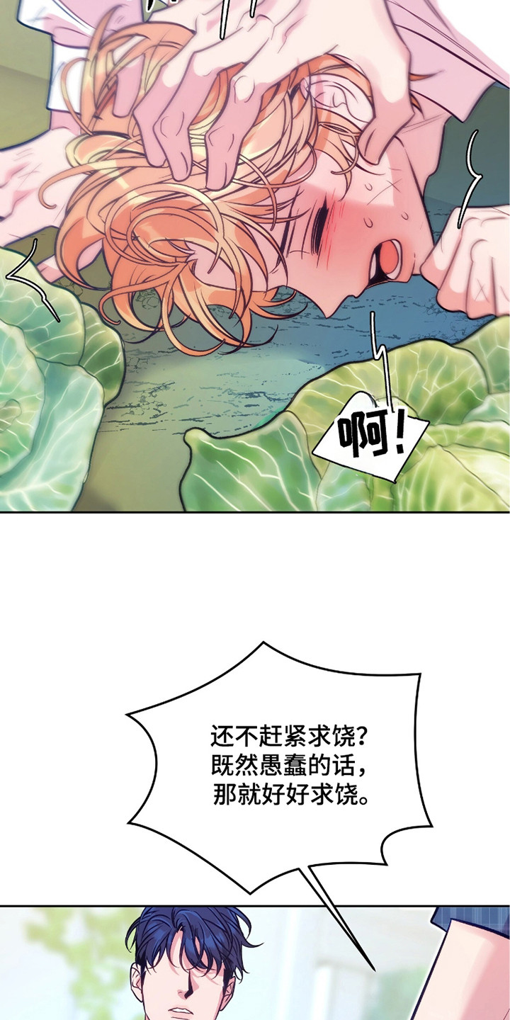 少爷的金鱼仆从漫画,第8章：不明所以4图
