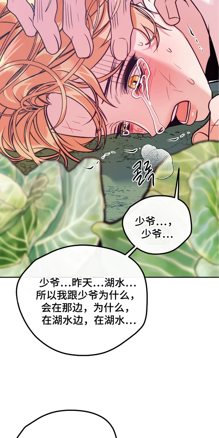 少爷的金鱼仆从漫画,第8章：不明所以1图